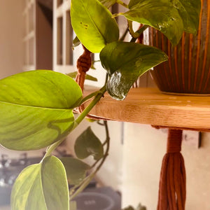 Swing Story – Macrame Hanging Shelf | METAL CEILING HOOK INCLUDED