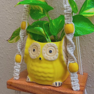 Knot and Bead | Macrame Shelf with planter and hook