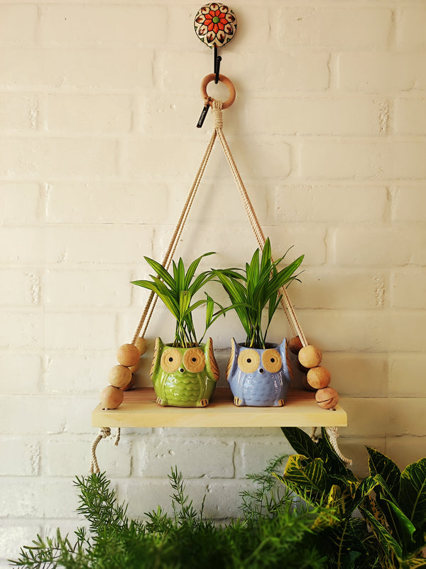 Natural Wood Macrame Shelf with owl planters and a ceramic  hook