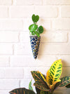 Mini Conical Planter | Blue Yellow Flowers