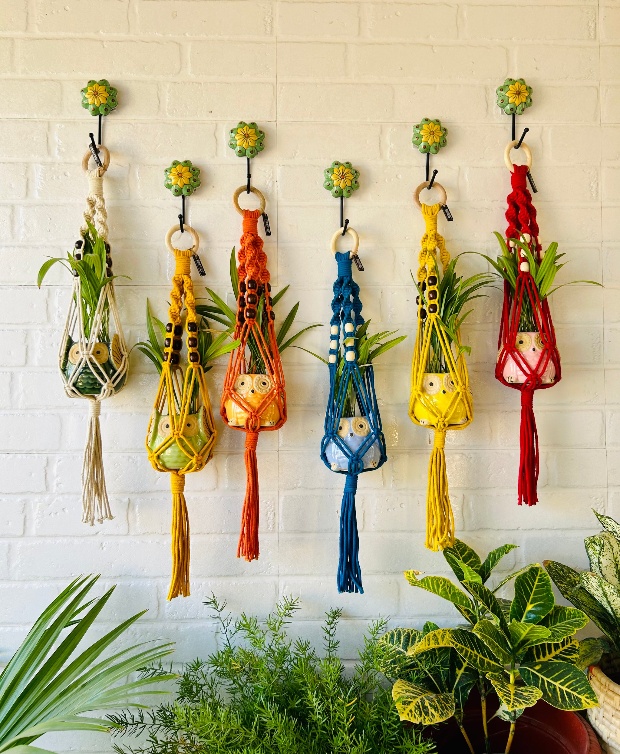 yellow macrame plant hanger Top Spiral Macrame Plant Hangers with ceramic pots and ceramic hooks