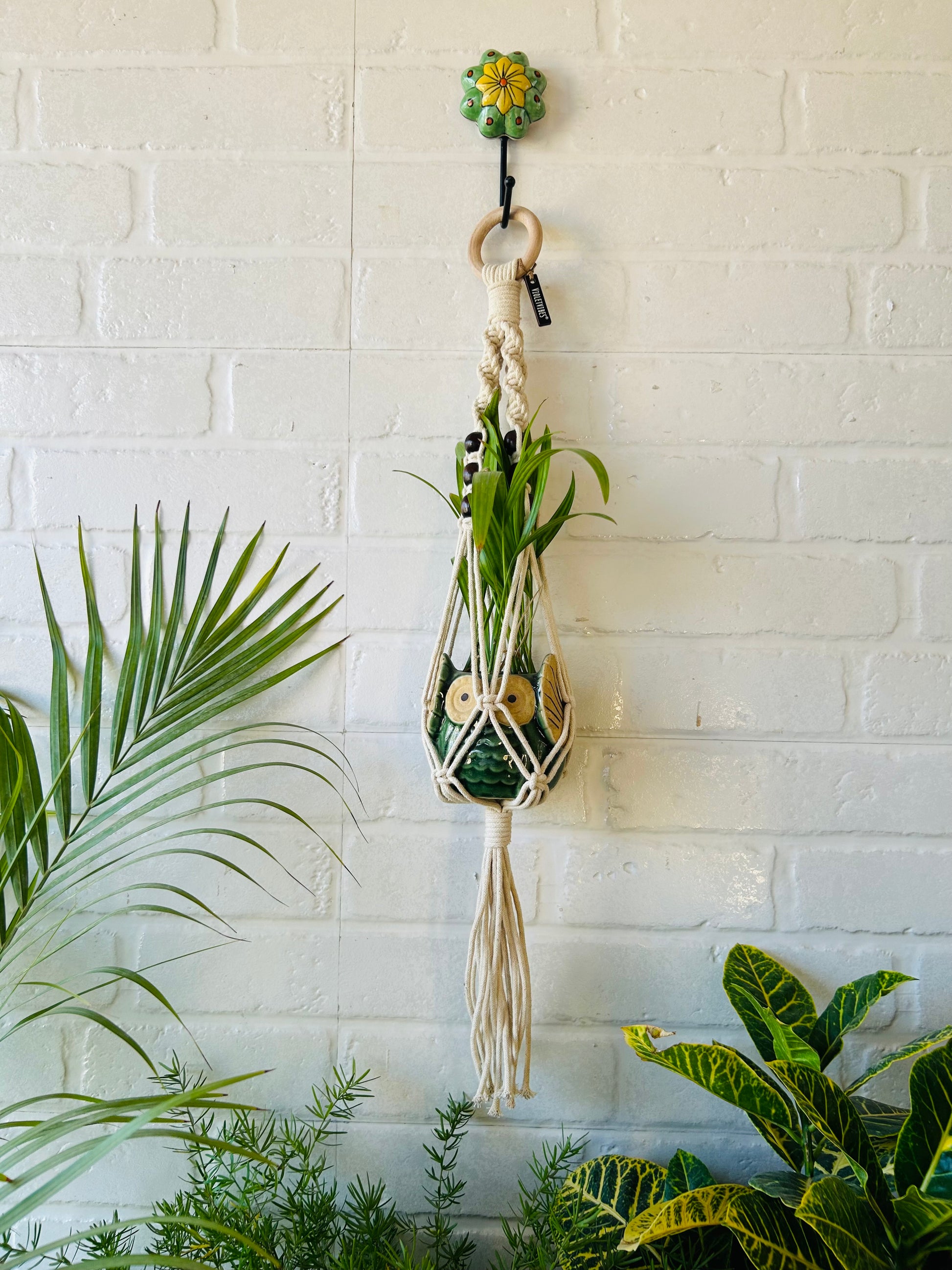 Top Spiral Macrame Plant Hangers with ceramic pots and ceramic hooks