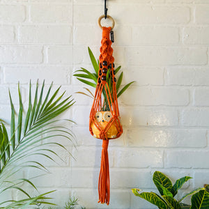 Top Spiral Macrame Plant Hangers with ceramic pots and ceramic hooks