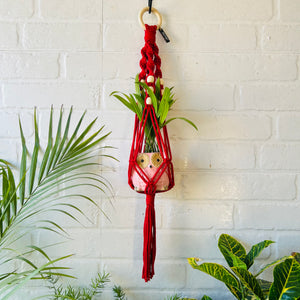 Top Spiral Macrame Plant Hangers with ceramic pots and ceramic hooks