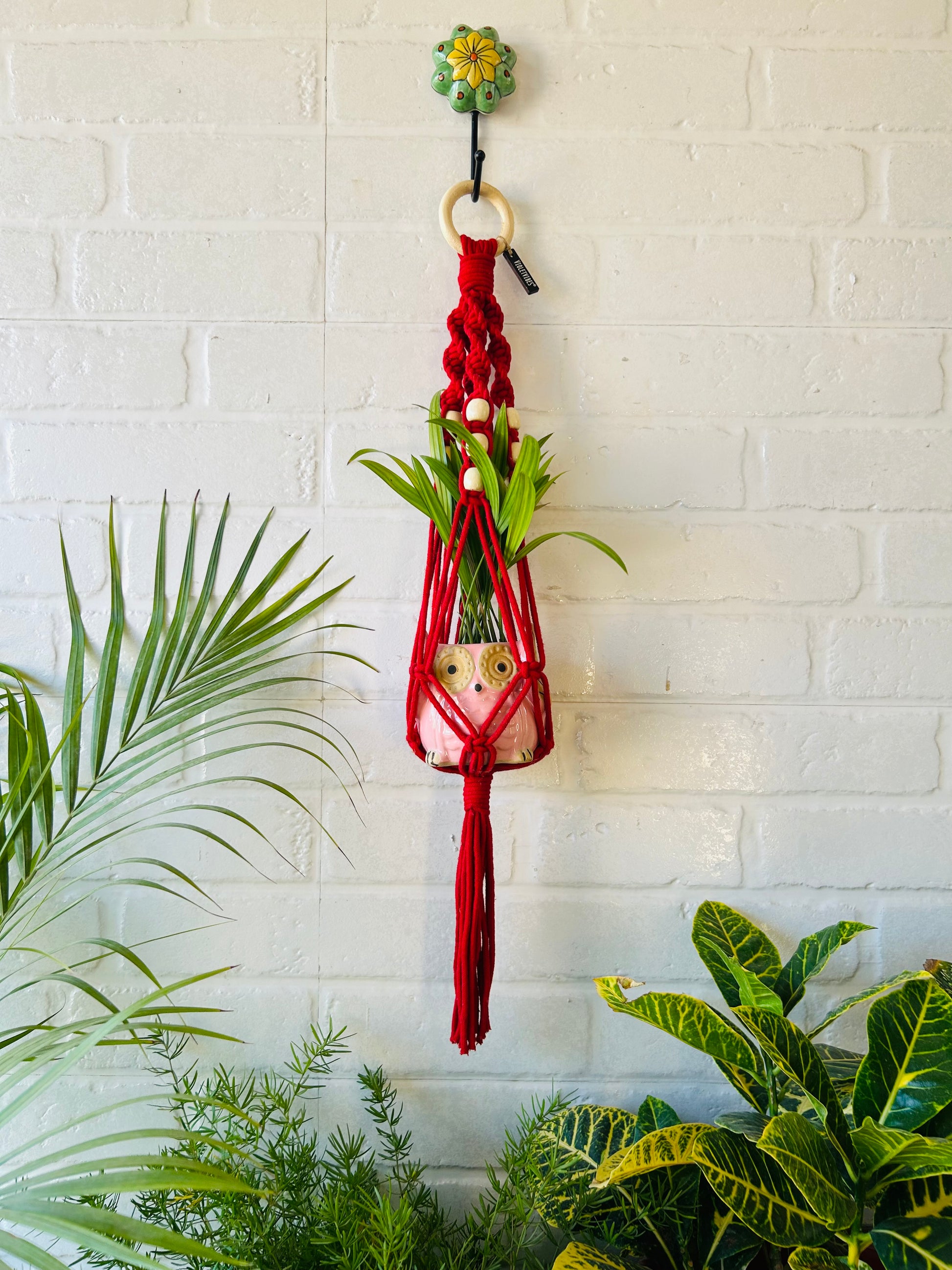 Top Spiral Macrame Plant Hangers with ceramic pots and ceramic hooks