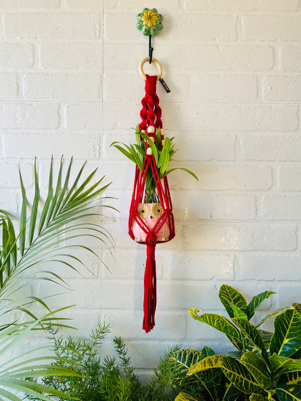 Top Spiral Macrame Plant Hangers with ceramic pots and ceramic hooks