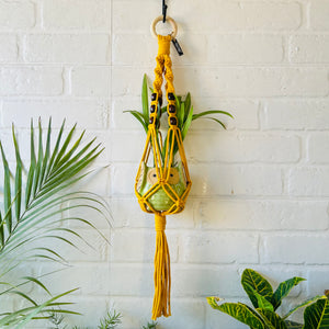 Top Spiral Macrame Plant Hangers with ceramic pots and ceramic hooks