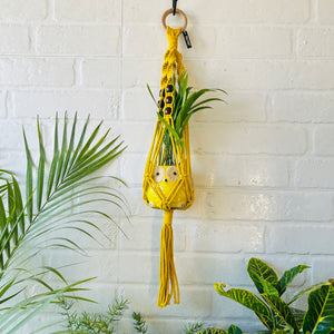 Top Spiral Macrame Plant Hangers with ceramic pots and ceramic hooks