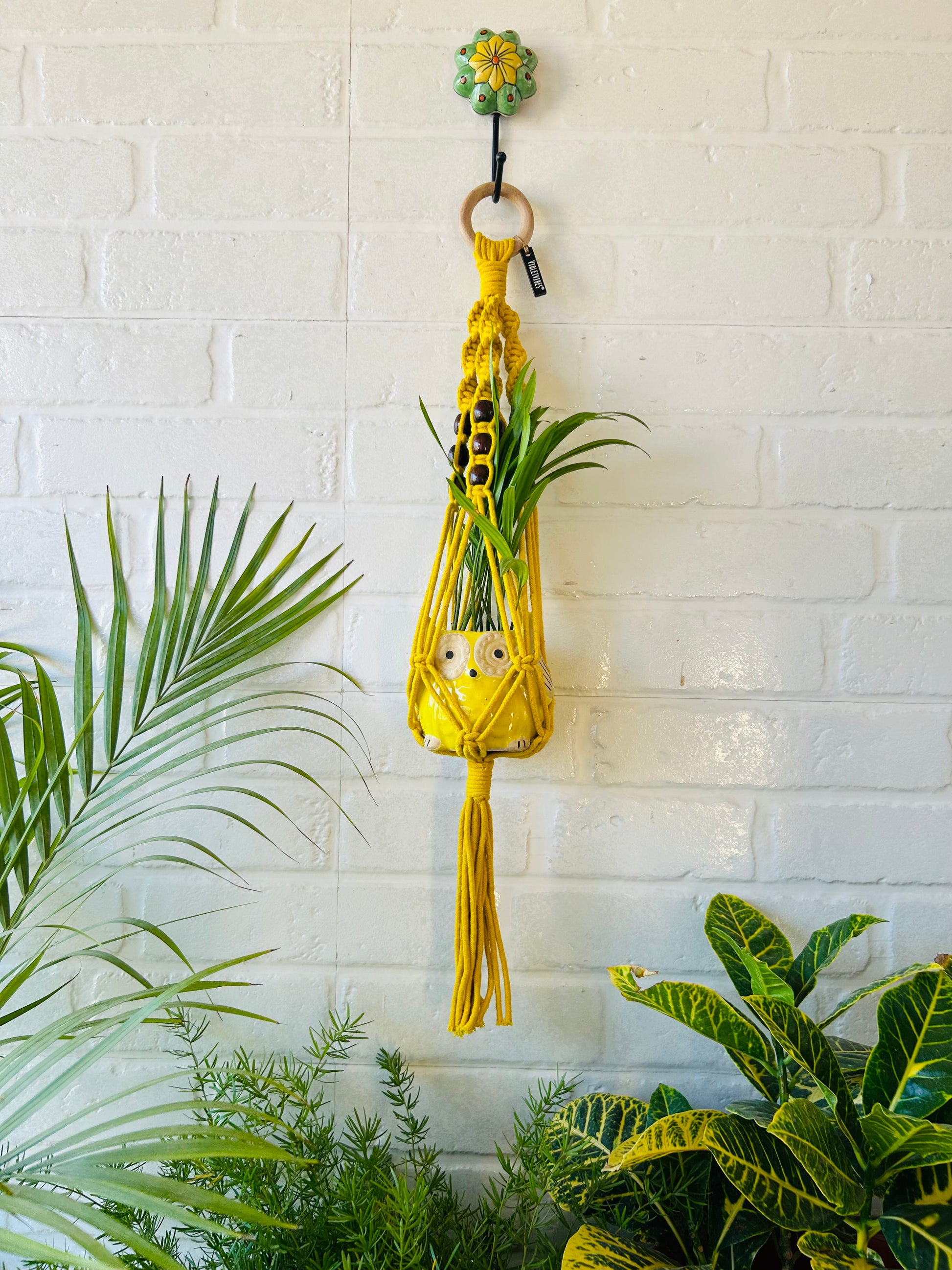 Top Spiral Macrame Plant Hangers with ceramic pots and ceramic hooks