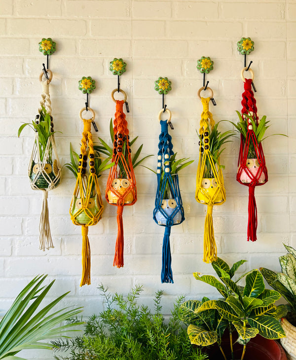 Top Spiral Macrame Plant Hangers with ceramic pots and ceramic hooks
