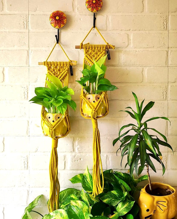 Pair of Yellow Macrame Hangers with hooks and owl shaped planters